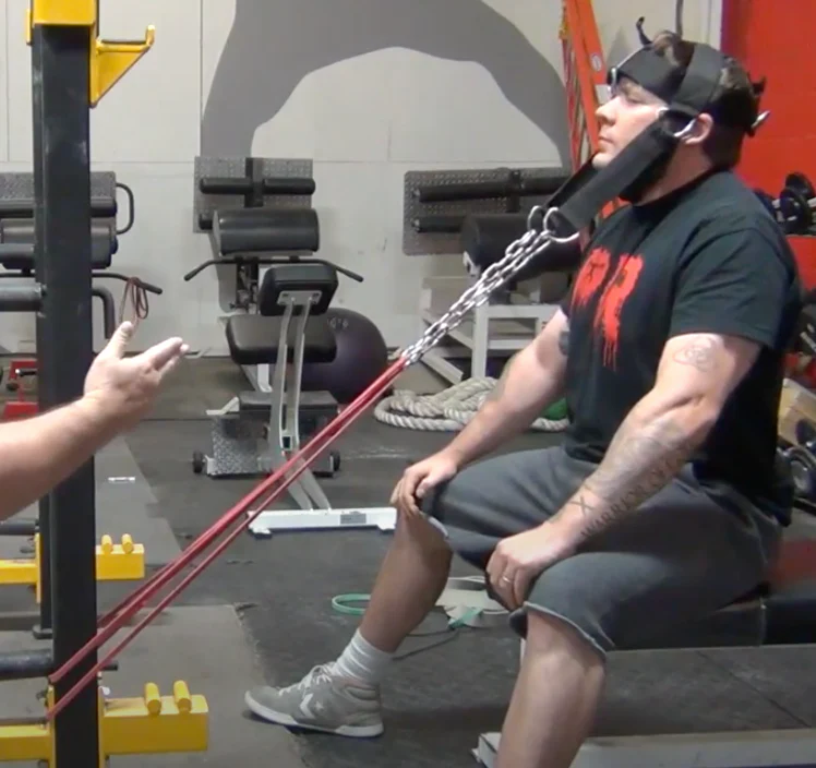 elitefts Deluxe Padded Head Harness - Image 3
