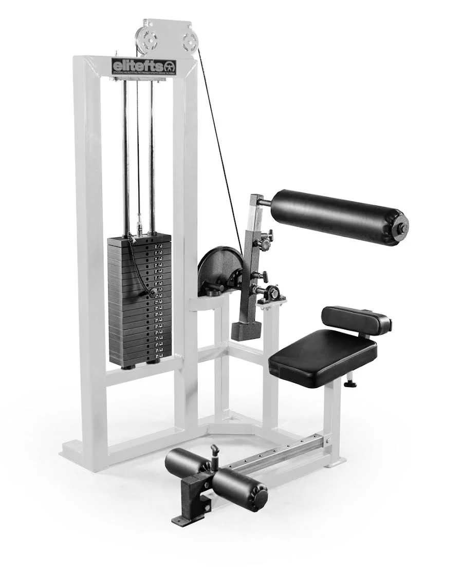 elitefts  Low Back Machine - Selectorized - Image 4