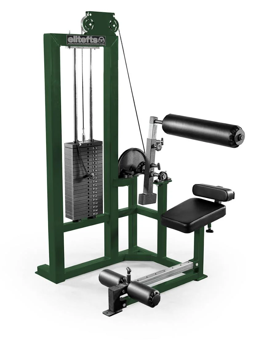 elitefts  Low Back Machine - Selectorized - Image 6