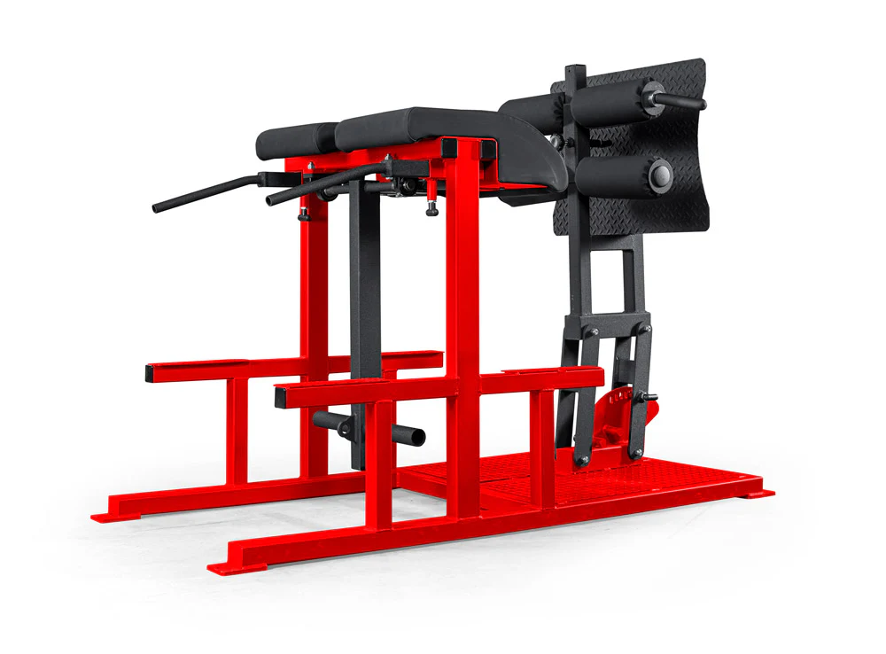 elitefts Posterior Chain Developer - Image 3