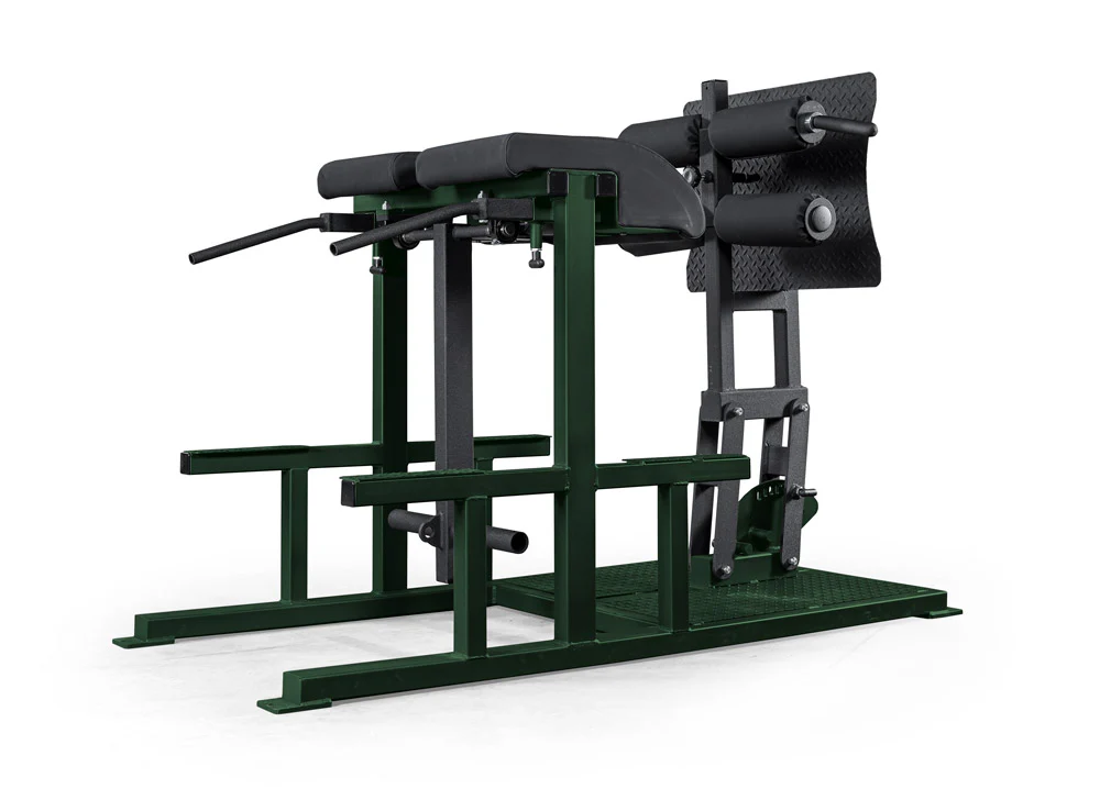 elitefts Posterior Chain Developer - Image 7