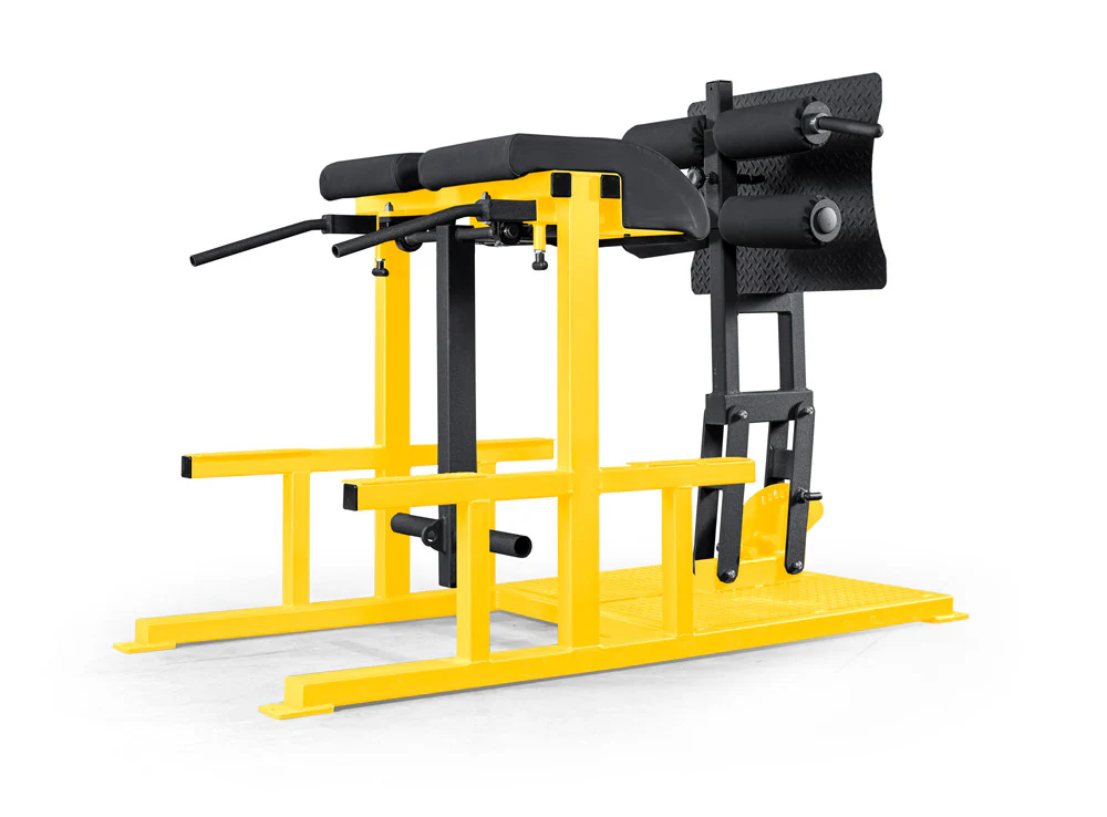 elitefts Posterior Chain Developer - Image 9