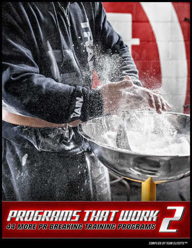 Programs That Work 2 (eBook)