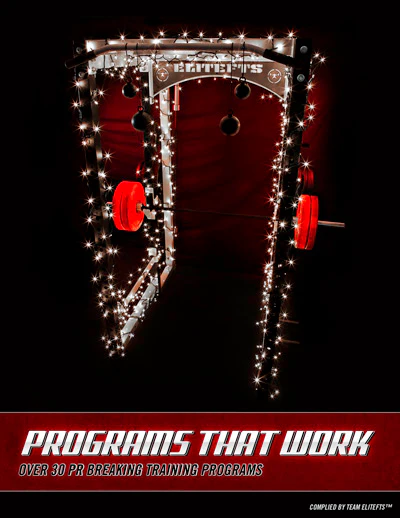 Programs That Work (eBook)