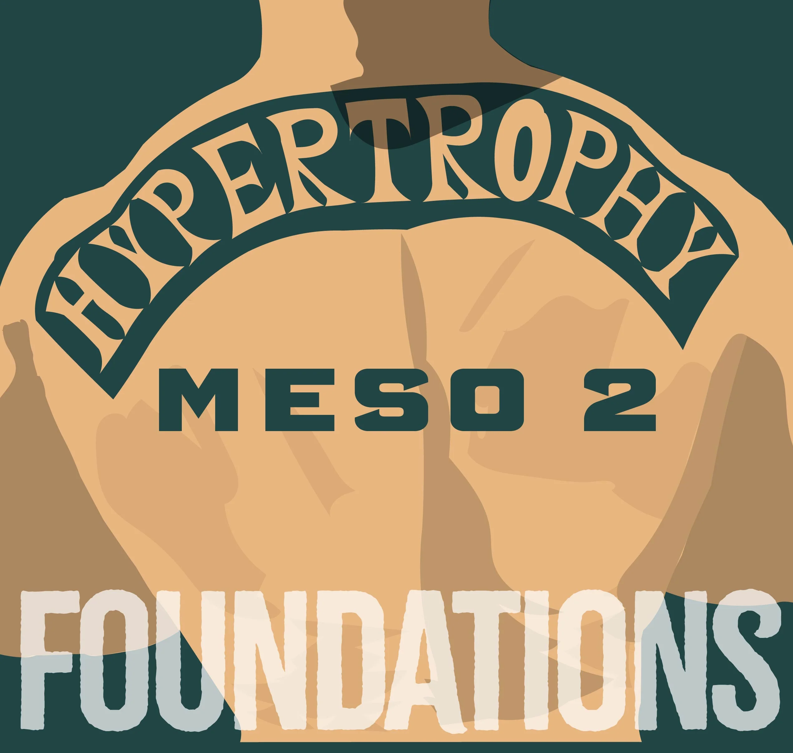 Swede Burns Hypertrophy Foundations Meso 2 (E-BOOK)